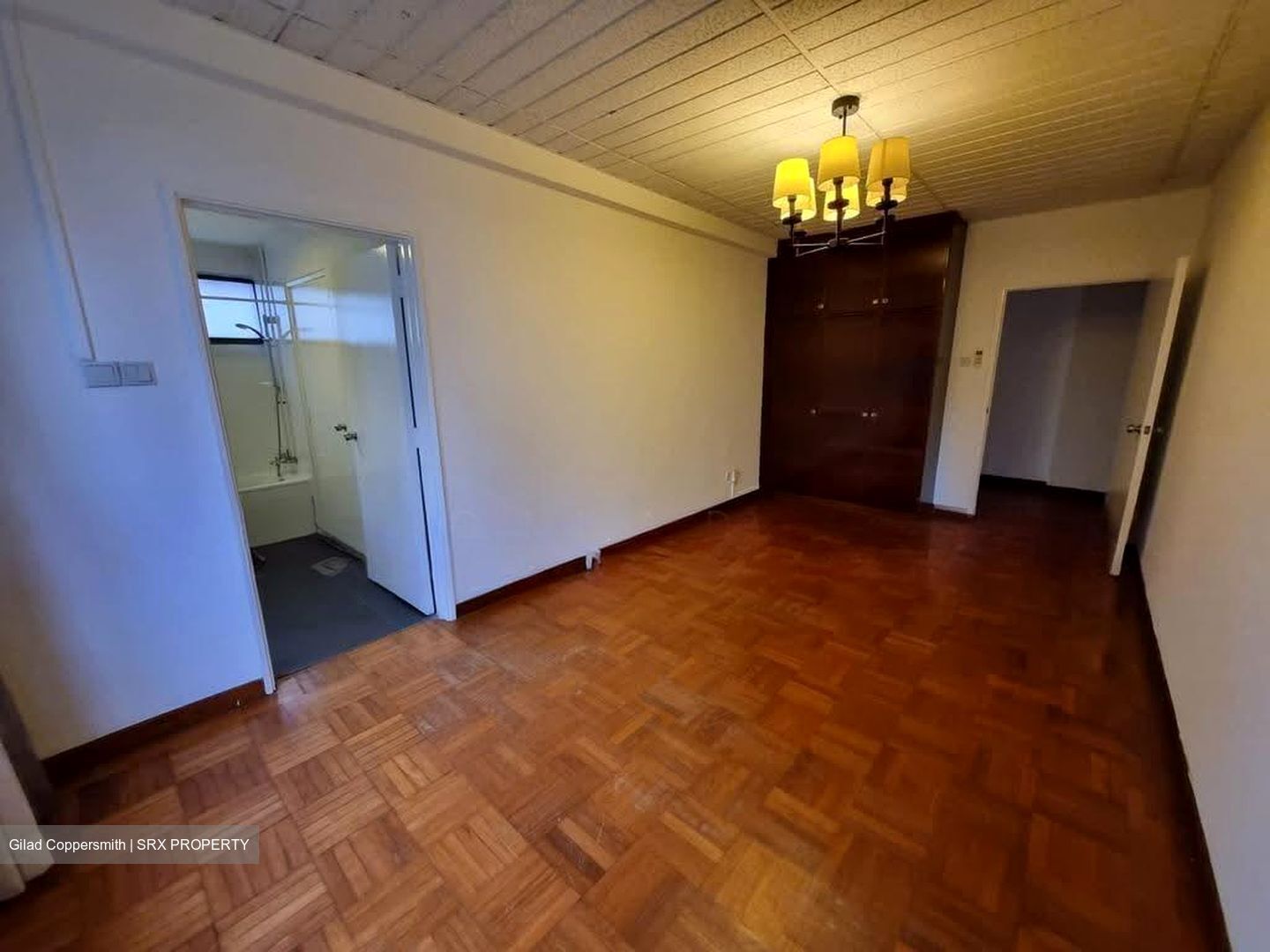 The Cairnhill (D9), Condominium #619024761
